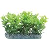 Decoratie Meerdere kleuren Plant Plant Groen, Grijs