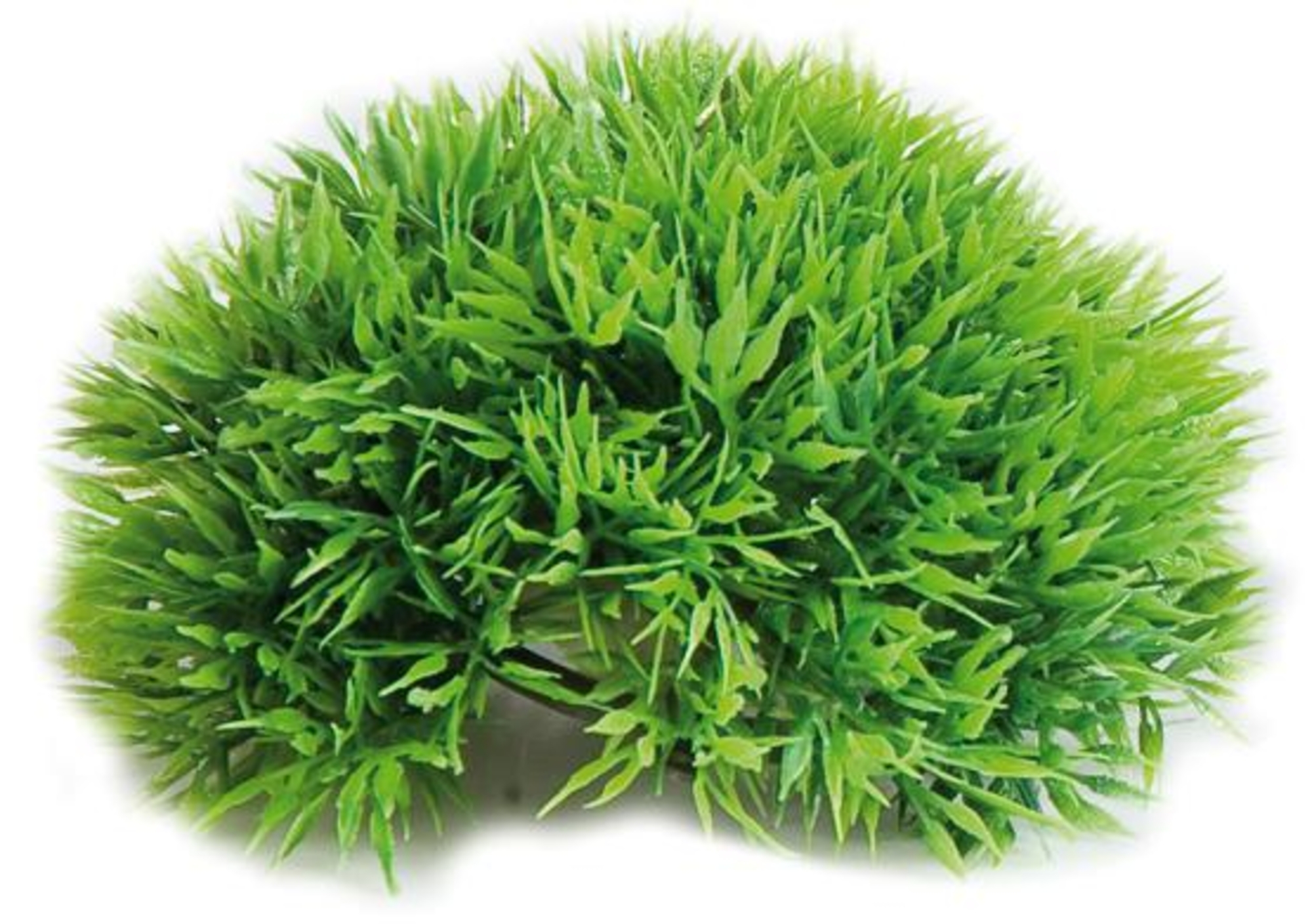 Flamingo Decoration Green Plant