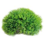 Decoration Green Plant