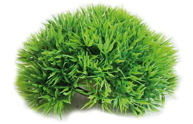 Flamingo Decoration Green Plant