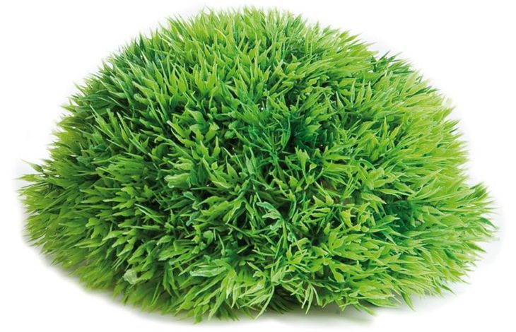 Flamingo Decoration Green Plant