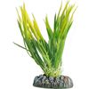 Decoratie Guyana Meerdere kleuren Plant & Plant & Plant & Plant & Plant & Plant Plant Groen, Geel, Grijs 