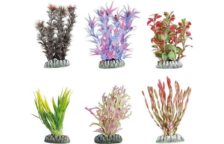 Flamingo Decoratie Guyana Meerdere kleuren Plant & Plant & Plant & Plant & Plant & Plant