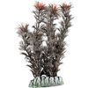 Decoratie Guyana Meerdere kleuren Plant & Plant & Plant & Plant & Plant & Plant Plant Bruin, Bordeaux, Grijs 