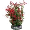 Dekoration Sri Lanka Mehrere Farben Pflanze Pflanze Grün, Grau, Rot 