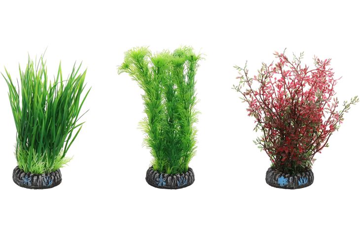 Flamingo Decoratie Sri Lanka Meerdere uitvoeringen Plant