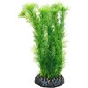 Decoratie Sri Lanka Meerdere uitvoeringen Plant Plant Groen, Grijs