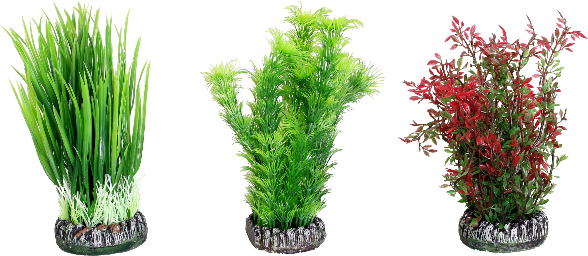 Flamingo Decoración Sri Lanka Varios colores Planta