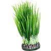 Decoration Sri Lanka Multiple colours Plant Plant Green, Grey 