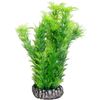 Dekoration Sri Lanka GrünPflanze & Pflanze & Pflanze Pflanze Grün, Grau 
