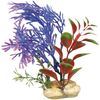 Decoratie Botanica Meerdere uitvoeringenPlant & Plant & & Plant & Plant & Plant & Plant & Plant & Plant & Plant Groen, Beige, Geel, Oranje, Paars