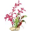 Decoratie Botanica Meerdere uitvoeringenPlant & Plant &  & Plant & Plant & Plant & Plant & Plant & Plant & Plant Plant Groen, Beige, Geel, Rood 