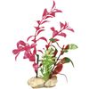 Decoratie Botanica Meerdere kleuren Plant Plant Groen, Beige, Geel, Rood 