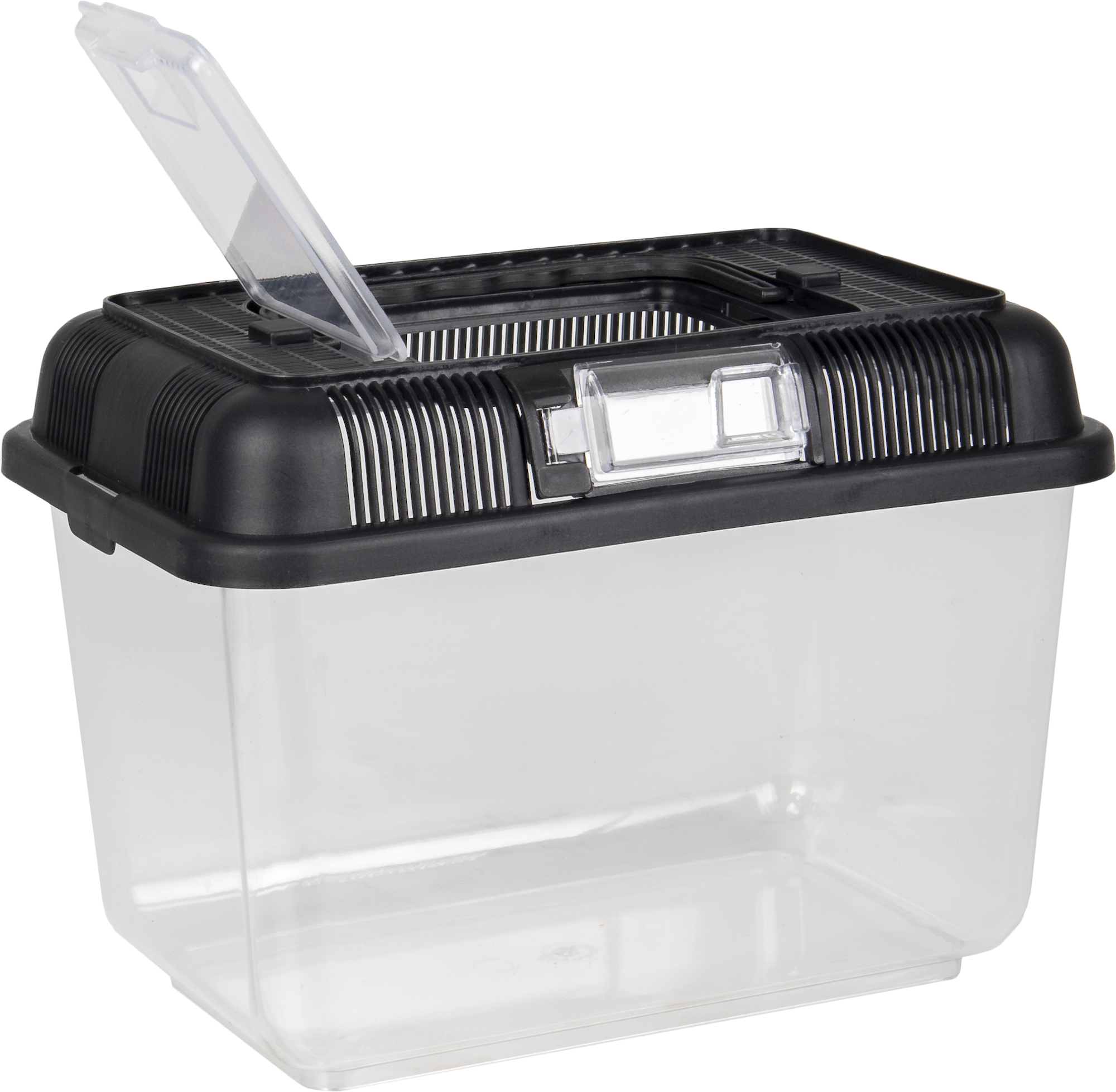 Flamingo Aquarium Goldie Schwarz