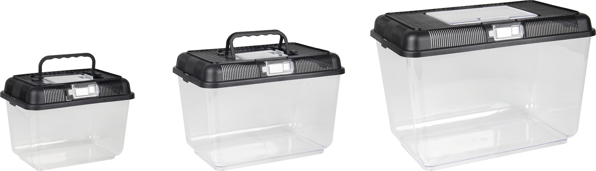 Flamingo Aquarium Goldie Schwarz