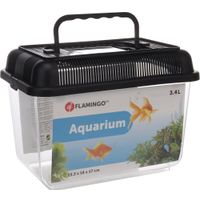 Flamingo Aquarium Goldie Zwart