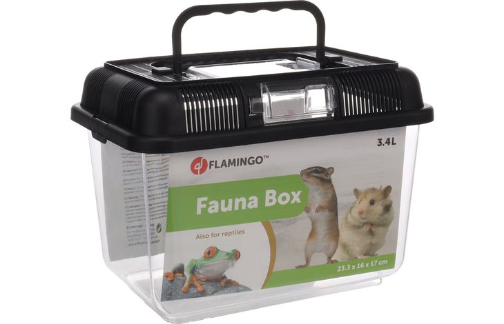 Flamingo Aquarium Goldie Zwart