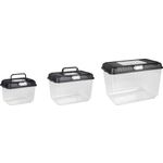 Aquarium Goldie Black