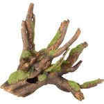 Decoration Moza Dark brown Green Tree root