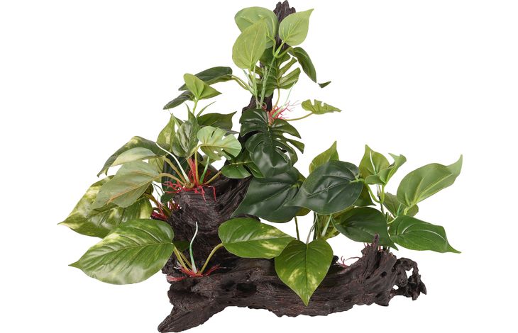 Flamingo Decoratie Tropica Bruin Groen Tak Plant