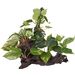 Decoratie Tropica Bruin Groen Tak Plant