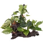 Decoration Tropica Brown Green Branch Plant