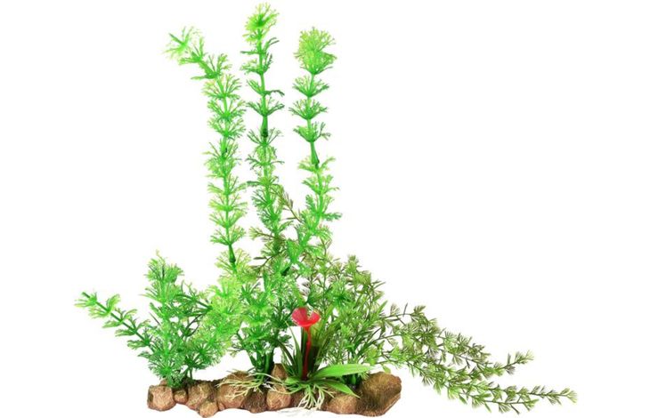 Flamingo Decoration Umbra Green Plant