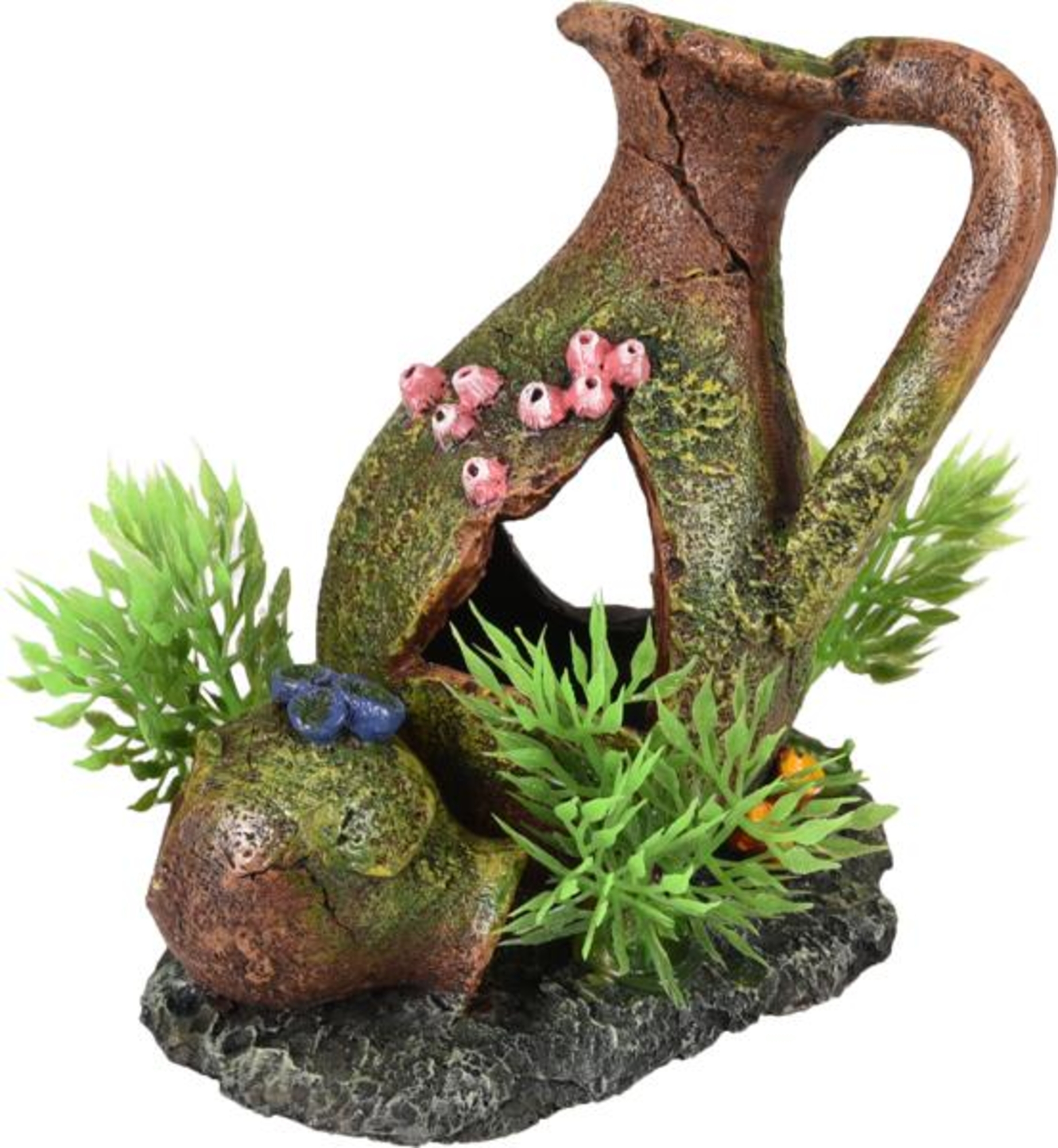 Flamingo Decoration Moza Brown Green Pitcher Plant