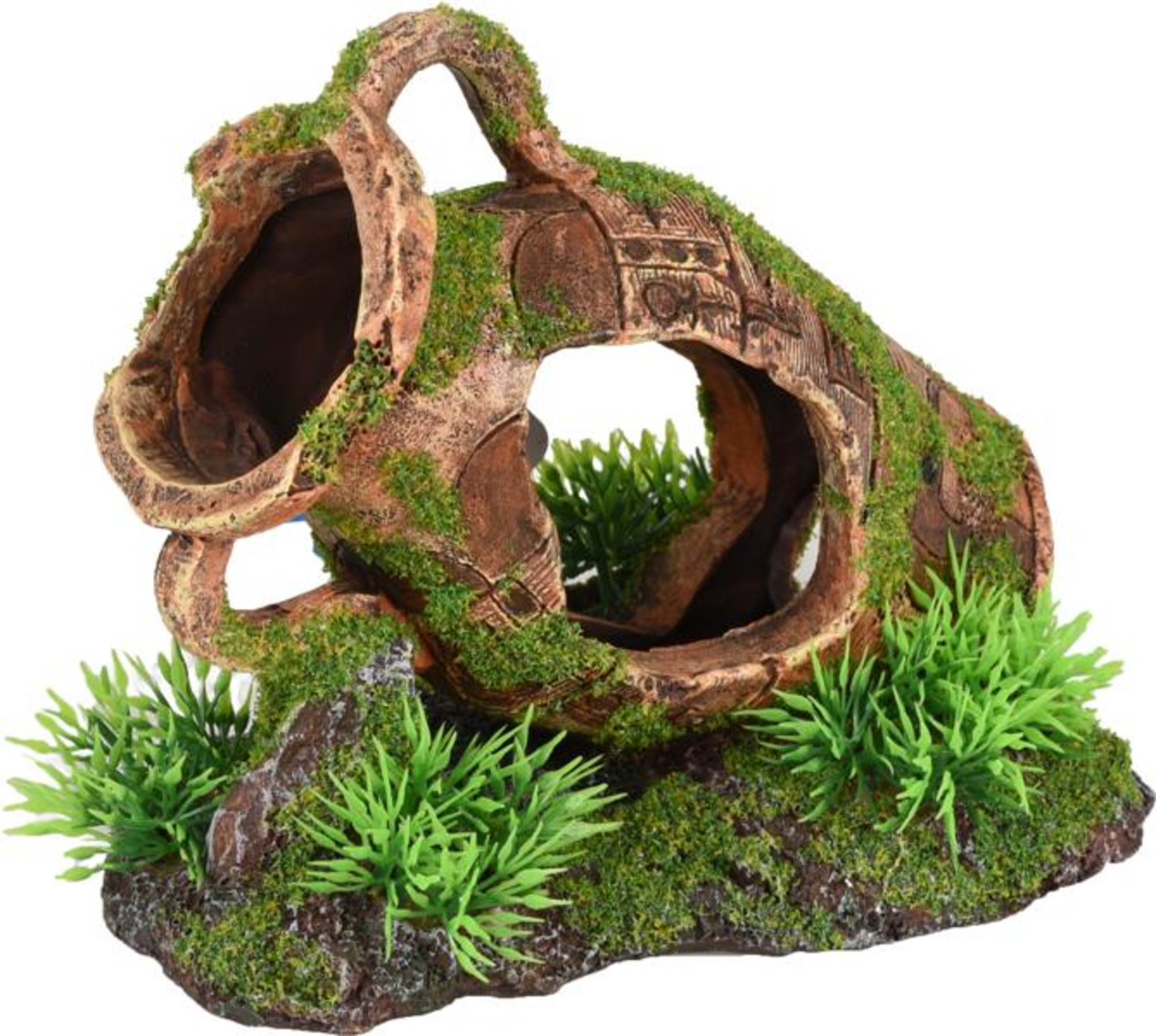 Flamingo Decoration Moza Brown Green Pitcher Plant