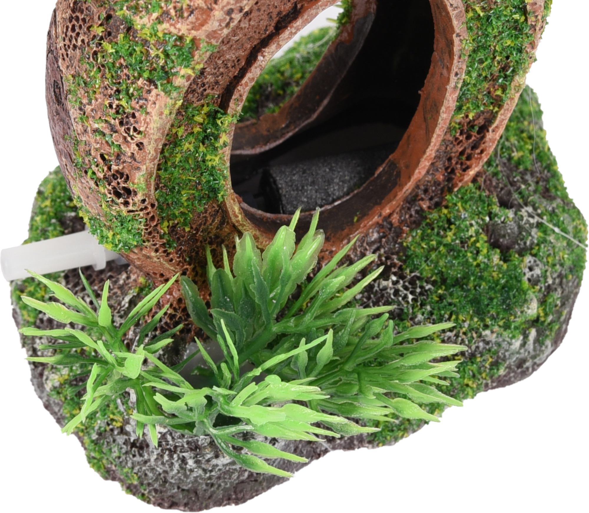 Flamingo Decoration Moza Brown Green Pitcher Plant