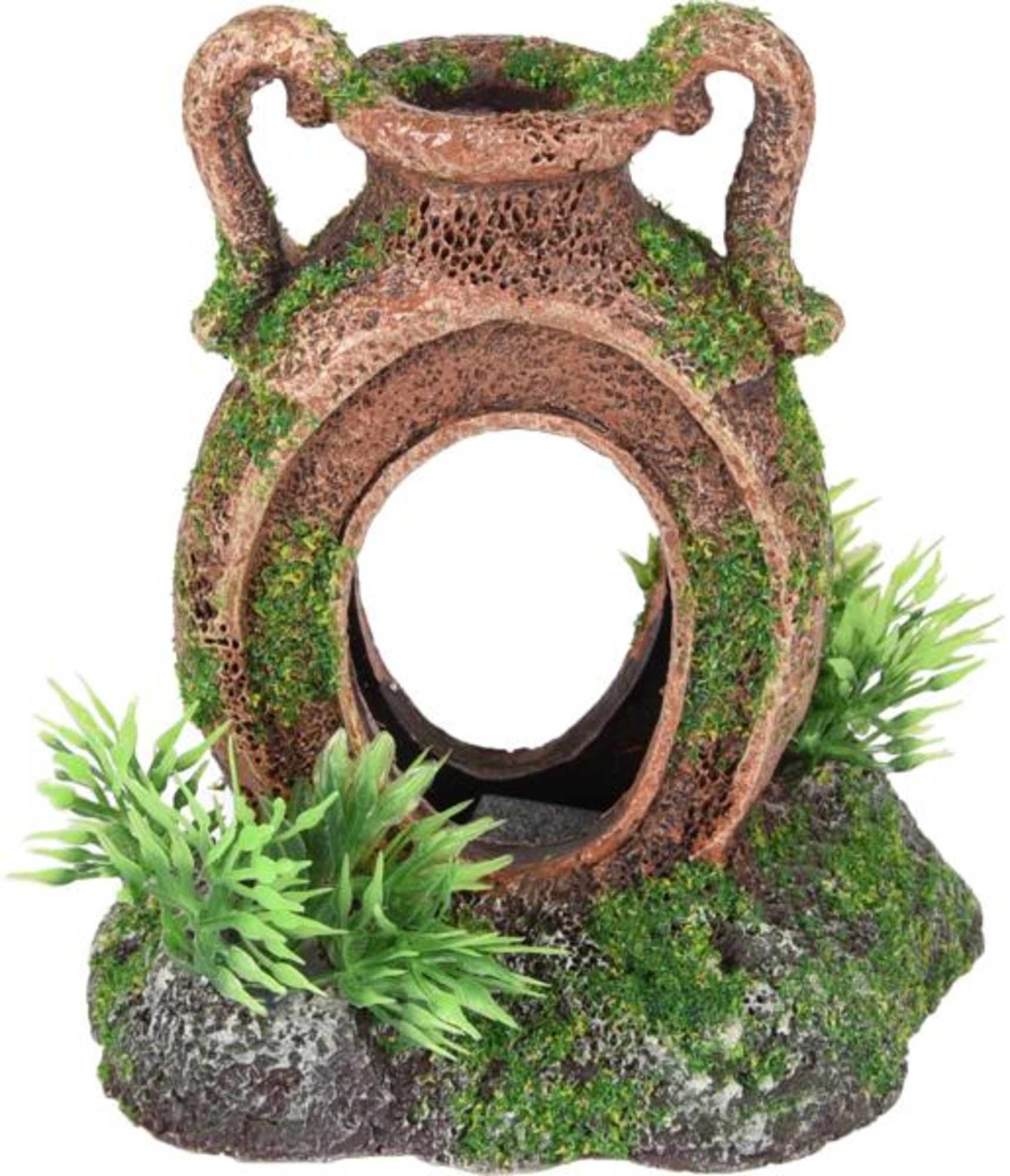 Flamingo Decoration Moza Brown Green Pitcher Plant