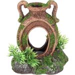 Decoration Moza Brown Green Pitcher Plant