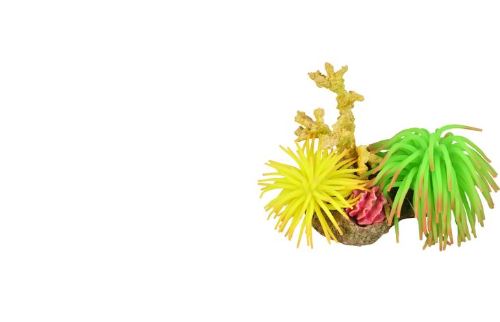 Flamingo Decoratie Leo Meerdere kleuren Anemoon Rots