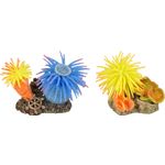 Dekoration Leo Mehrere Farben Anemone Fels