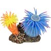 Decoratie Leo Meerdere kleuren Anemoon Rots Anemoon, Rots Blauw, Groen, Geel, Oranje