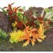 Decoration Radha Grey Green Red Bordeaux Orange Yellow Rock Plant