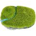 Decoratie Krag Grijs Rots Mos