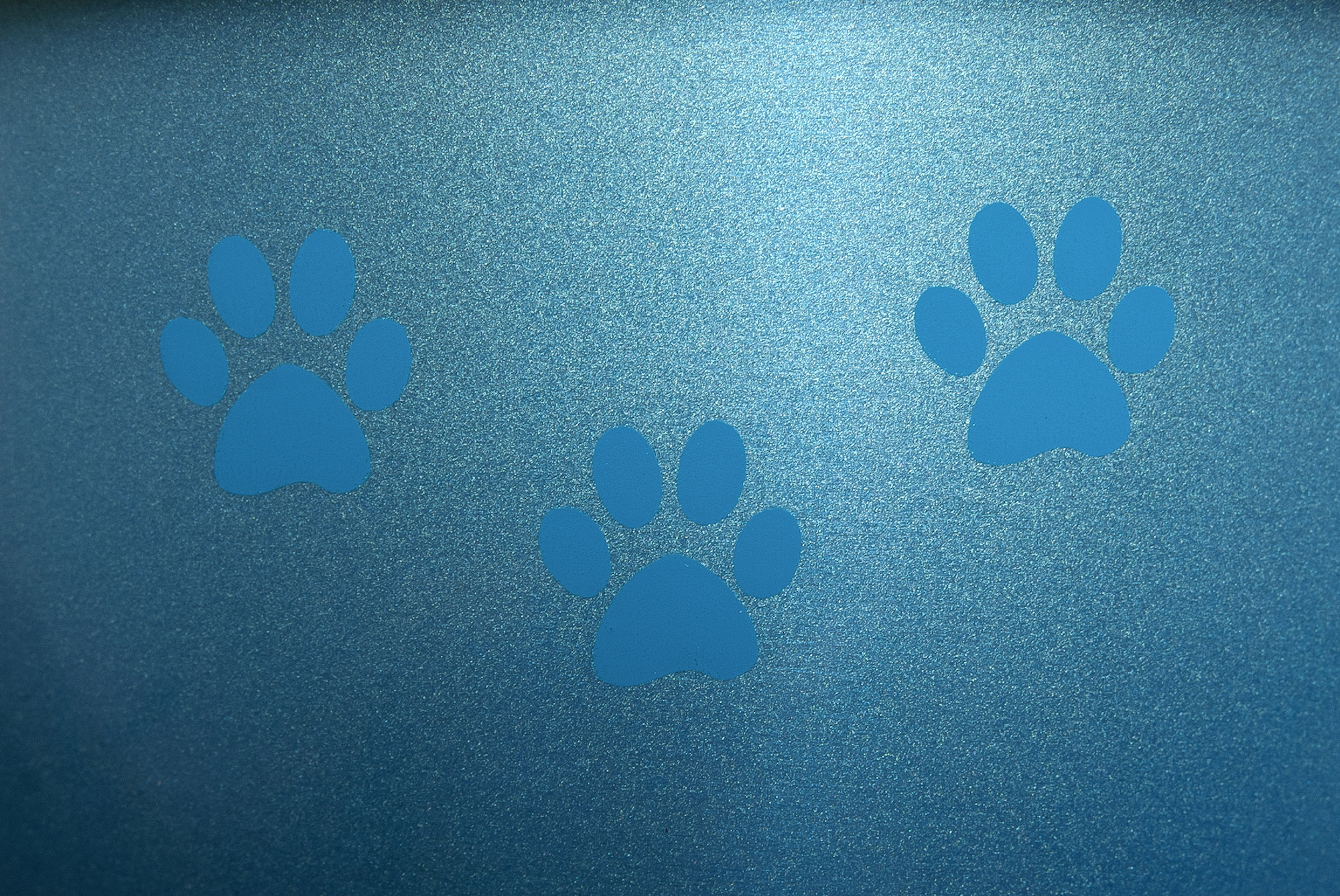 Flamingo Ciotola per cibo e acqua Selecta Rotondo Azzurro & Argento