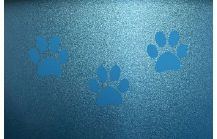 Flamingo Ciotola per cibo e acqua Selecta Rotondo Azzurro & Argento