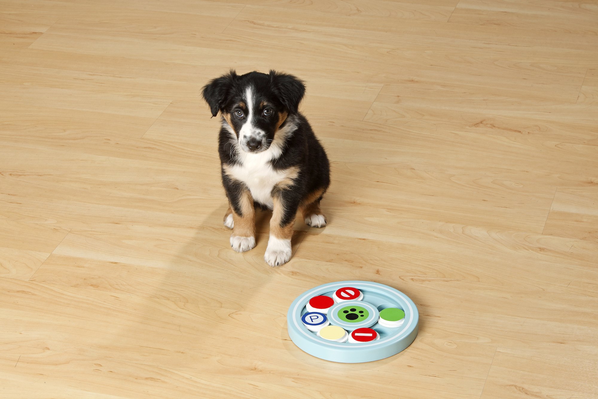 Flamingo Toy Puppy Brain Train Desmond Light blue