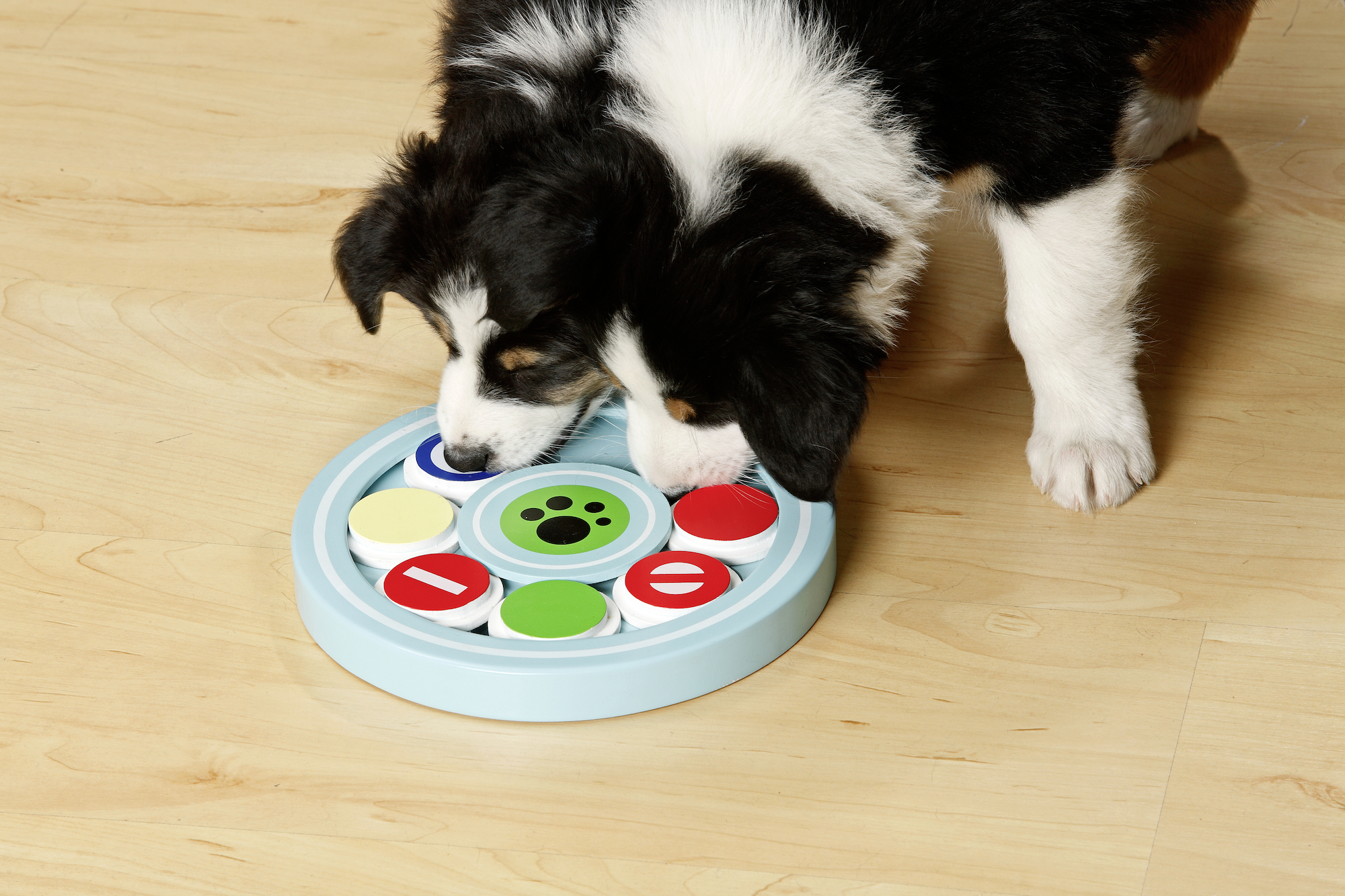 Flamingo Toy Puppy Brain Train Desmond Light blue