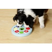 Flamingo Toy Puppy Brain Train Desmond Light blue