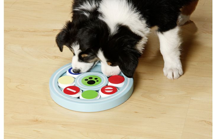 Flamingo Toy Puppy Brain Train Desmond Light blue