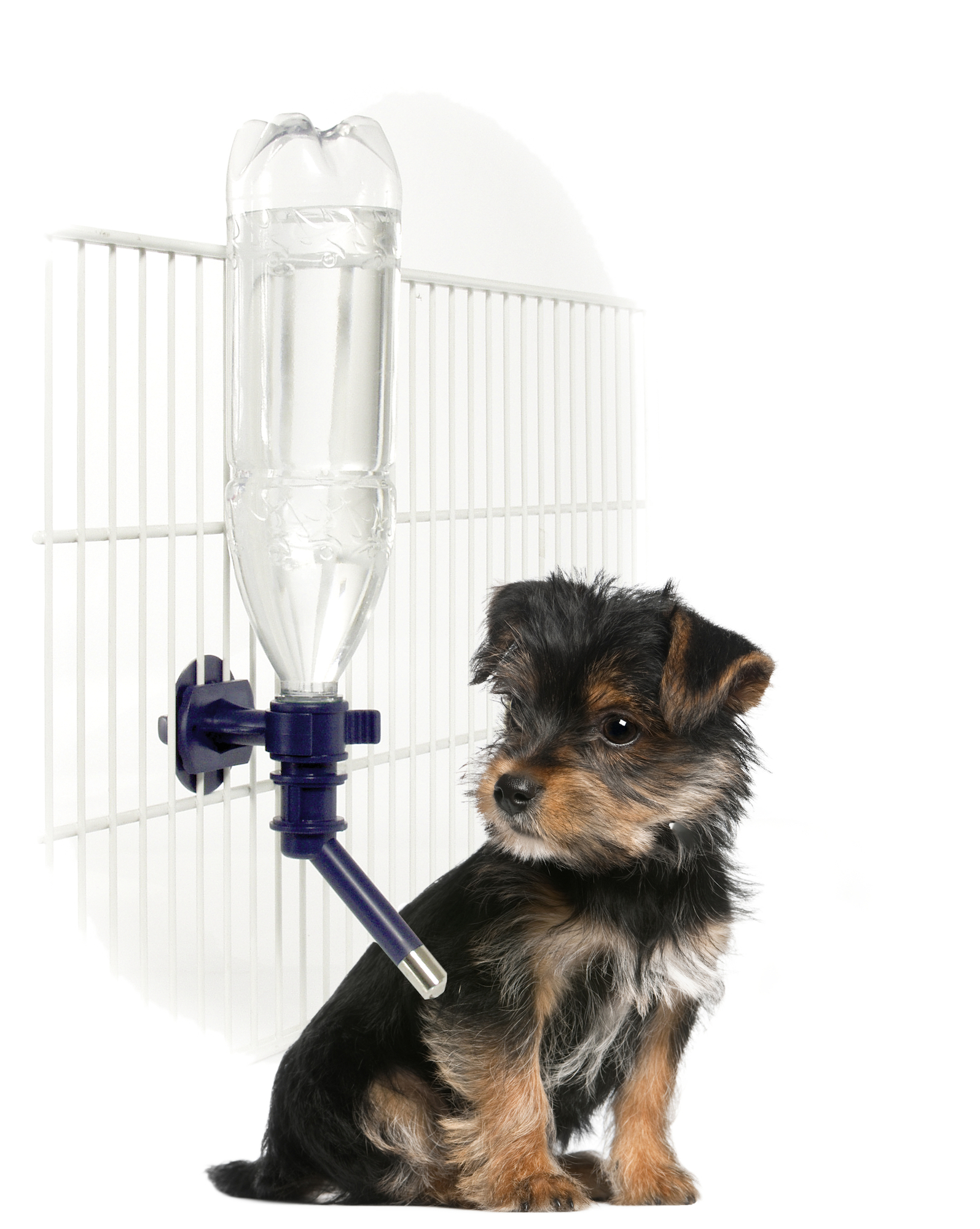 Flamingo Bottle holder Molli Blue