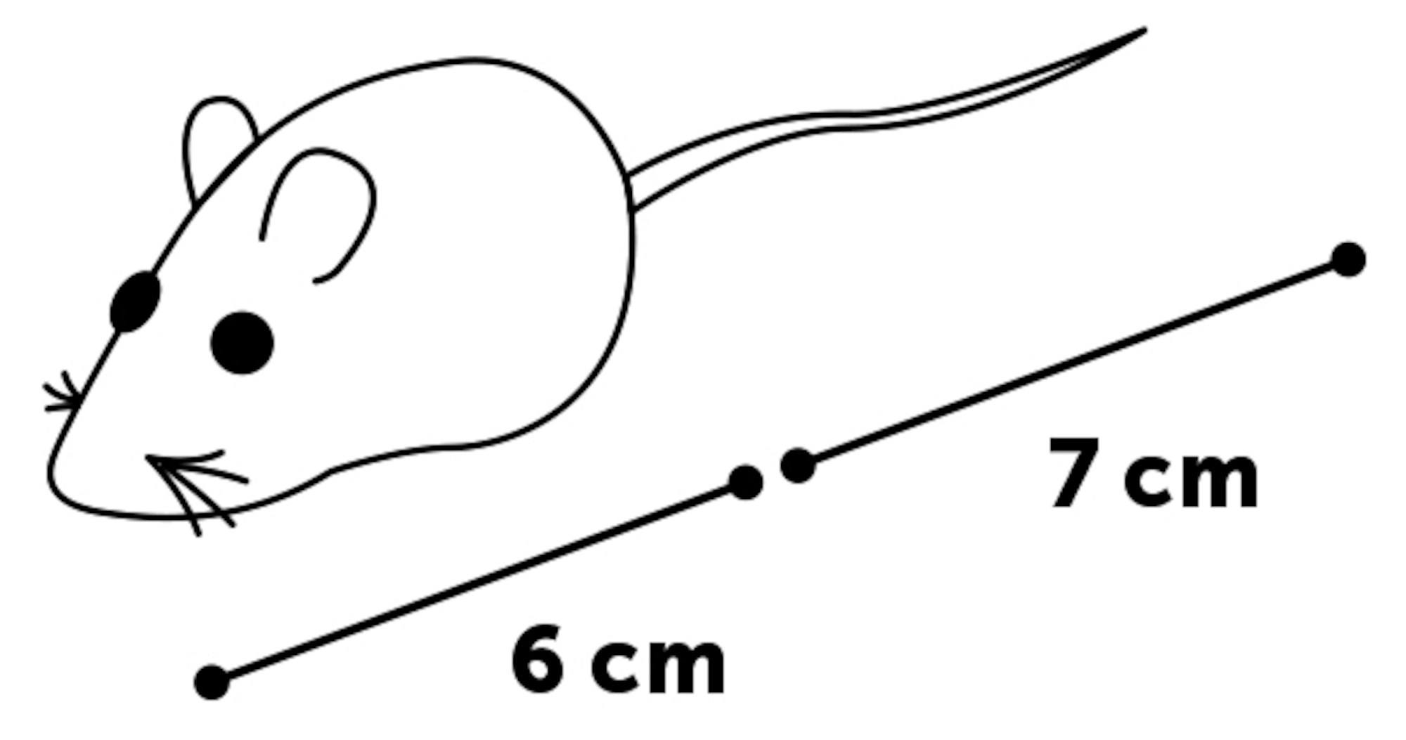 Flamingo Toy Bernard Mouse Multiple colours