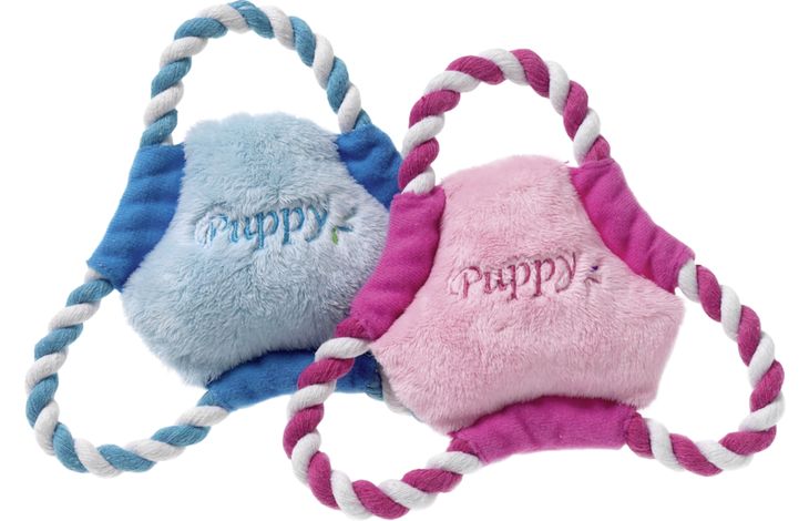 Vlek Wakker worden Gang Speelgoed Puppy Boban Frisbee voor puppy's met touw Meerdere kleuren |  47951 | Flamingo Pet Products