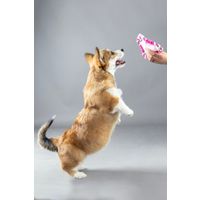 Flamingo Speelgoed Puppy Boban Frisbee voor puppy's met touw Meerdere kleuren