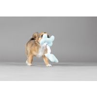 Flamingo Toy Puppy Boban Bone Multiple colours