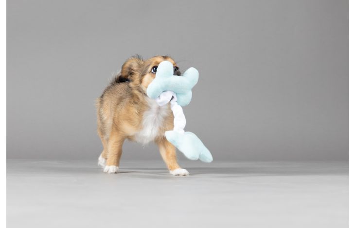 Flamingo Toy Puppy Boban Bone Multiple colours