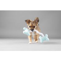 Flamingo Toy Puppy Boban Bone Multiple colours